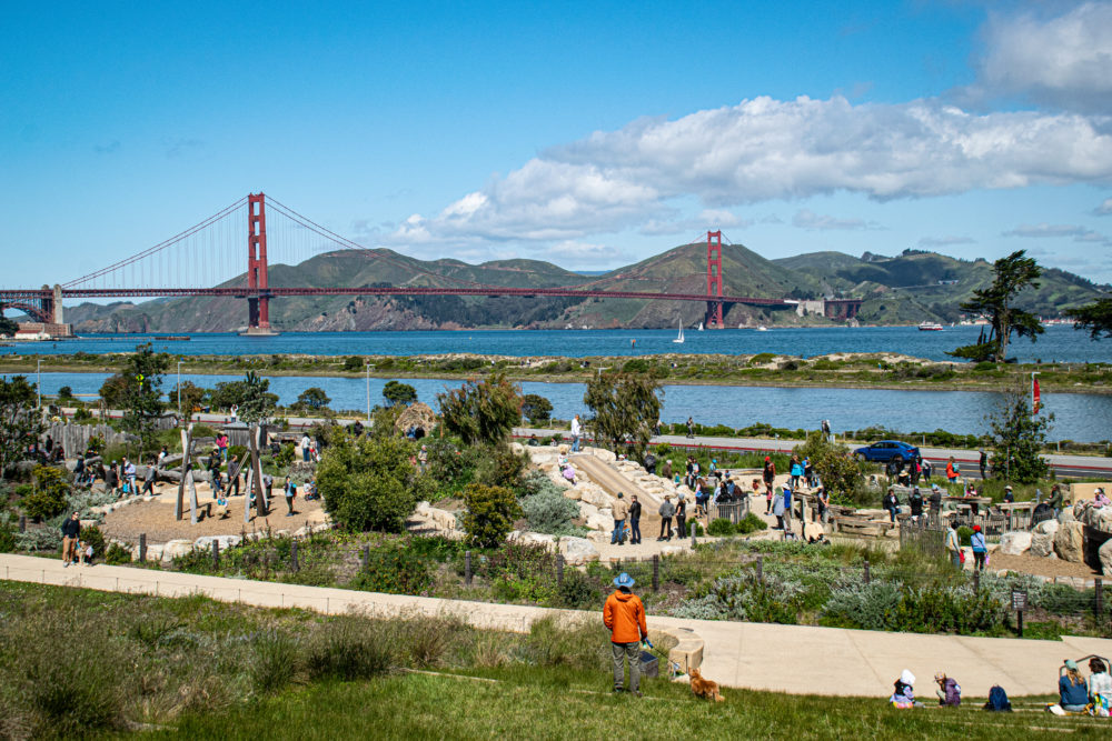 Presidio-Tunnel-Tops-2-1000x667 - Si ya conoces San Francisco, te comparto 5 experiencias para volver a sorprenderte