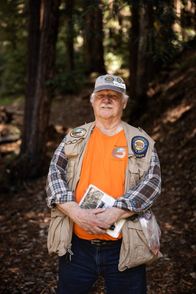 Redwoods-Sonoma-California5-667x1000 - No te hablo de Sonora, te hablo de Sonoma, California