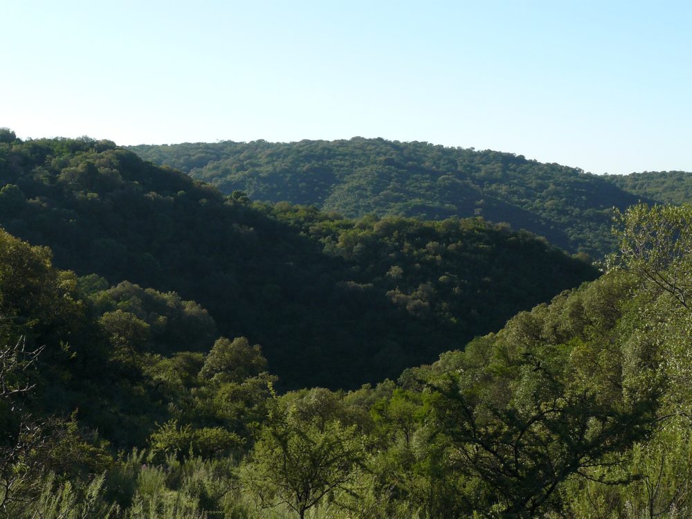 Santa_Rosa_de_Calamuchita_wikimedia_commons_Plinio-Petit-Bon-1000x750 - El precioso pueblo de Argentina con hermosos ríos cristalinos y aire puro, ideal para una escapada