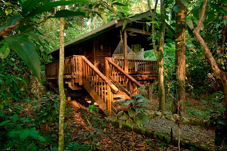 TAL-cabin-lodge-honduras-HONDURAS0424-de28718f92ee46ebb962d7ebf50b2332 - El itinerario perfecto para conocer Roatán