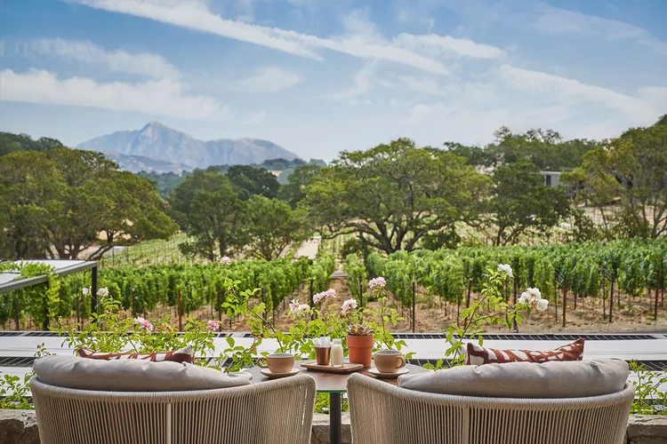 Este lujoso resort del norte de California ahora elabora su propio vino y solo puedes probarlo en la propiedad