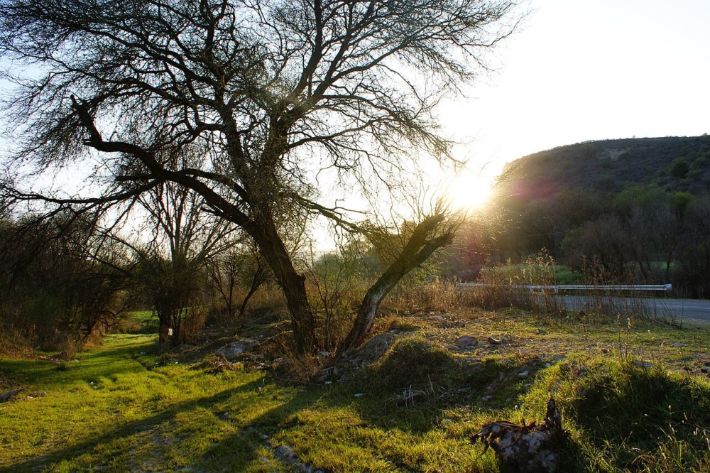 Temacapulin_01-1000x666 - Este Pueblo Mágico tiene preciosos paisajes naturales, un río y varias termas para visitar a 2 horas de Aguascalientes