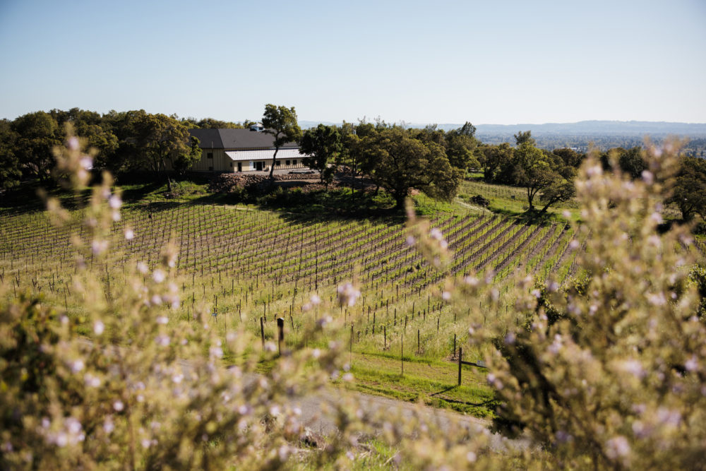 No te hablo de Sonora, te hablo de Sonoma, California