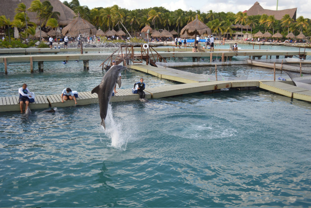 Xcaret3-1000x670 - Cuánto cuesta un viaje a Xcaret: presupuesto y consejos para tener un buen viaje