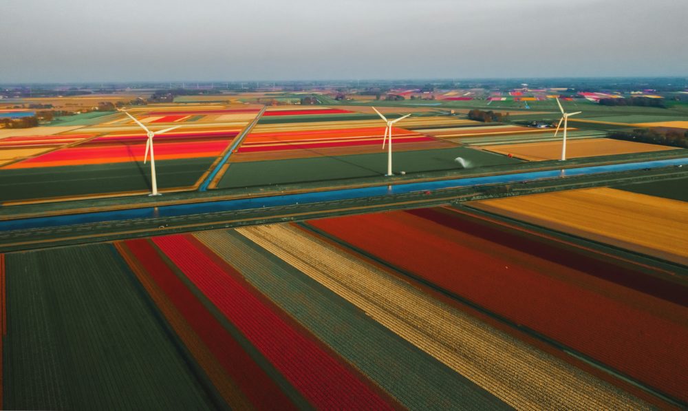Los Países Bajos se visten de gala con la temporada de tulipanes
