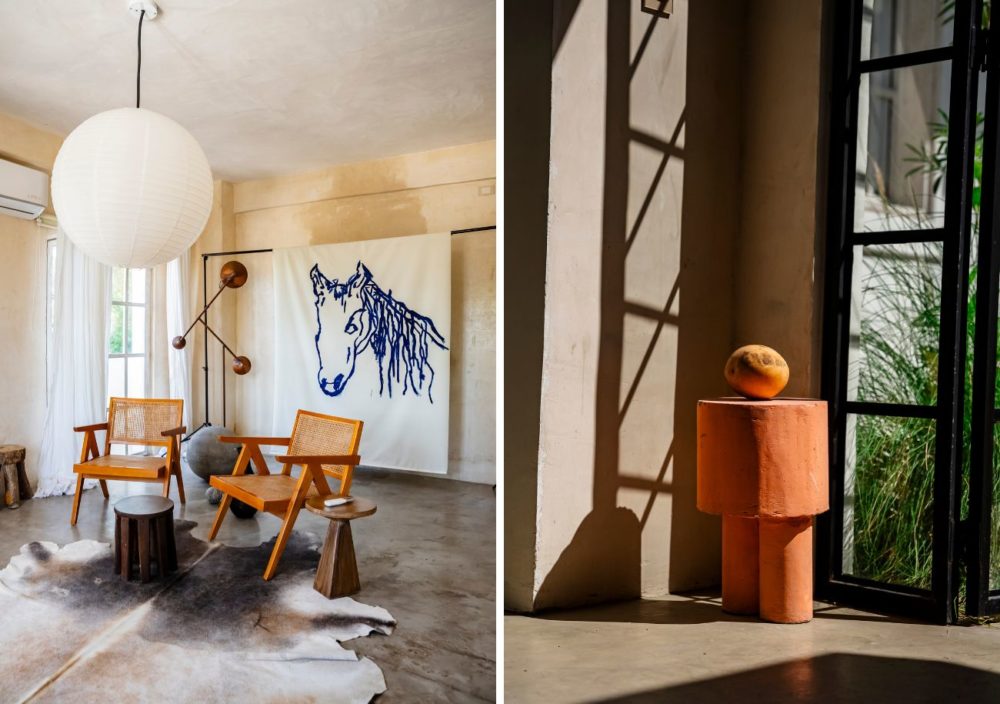 casa-bo-1000x704 - La pesca del minuto en La Paz, México