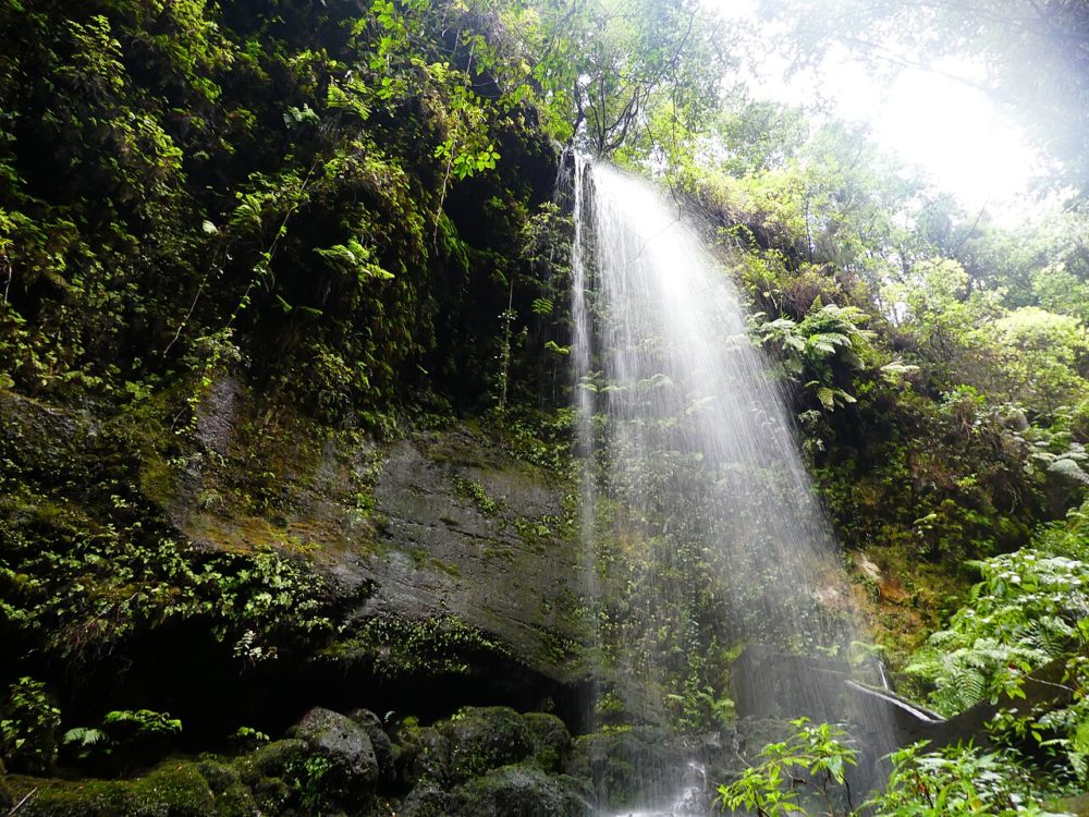 El precioso Pueblo Mágico en Chiapas con refrescantes cascadas que es perfecto para el senderismo y la aventura