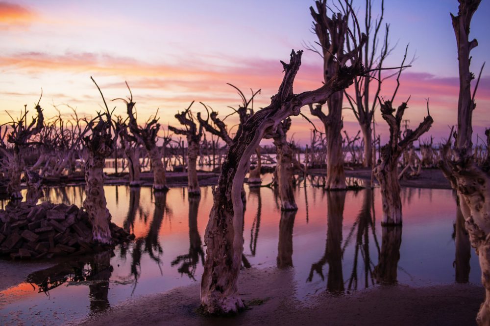epecuen_wikimedia_commons_Dianamolerof-1000x667 - El impactante pueblo fantasma argentino que quedó bajo el agua y puedes visitar