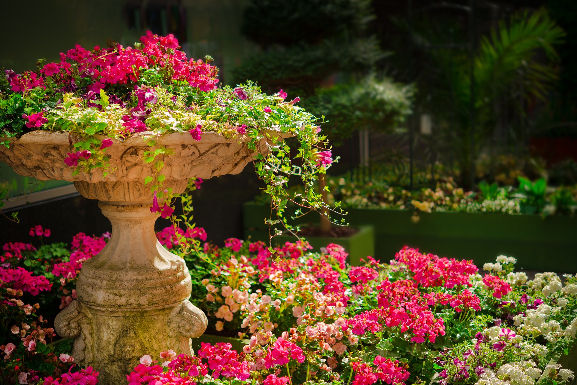 Llega el Festival de Flores y Jardines a la CDMX: es gratis y gran plan de fin de semana