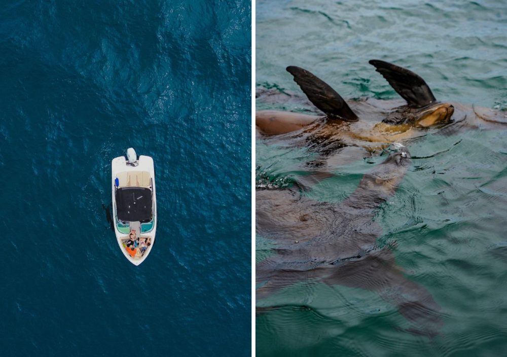 la-paz-1000x704 - La pesca del minuto en La Paz, México