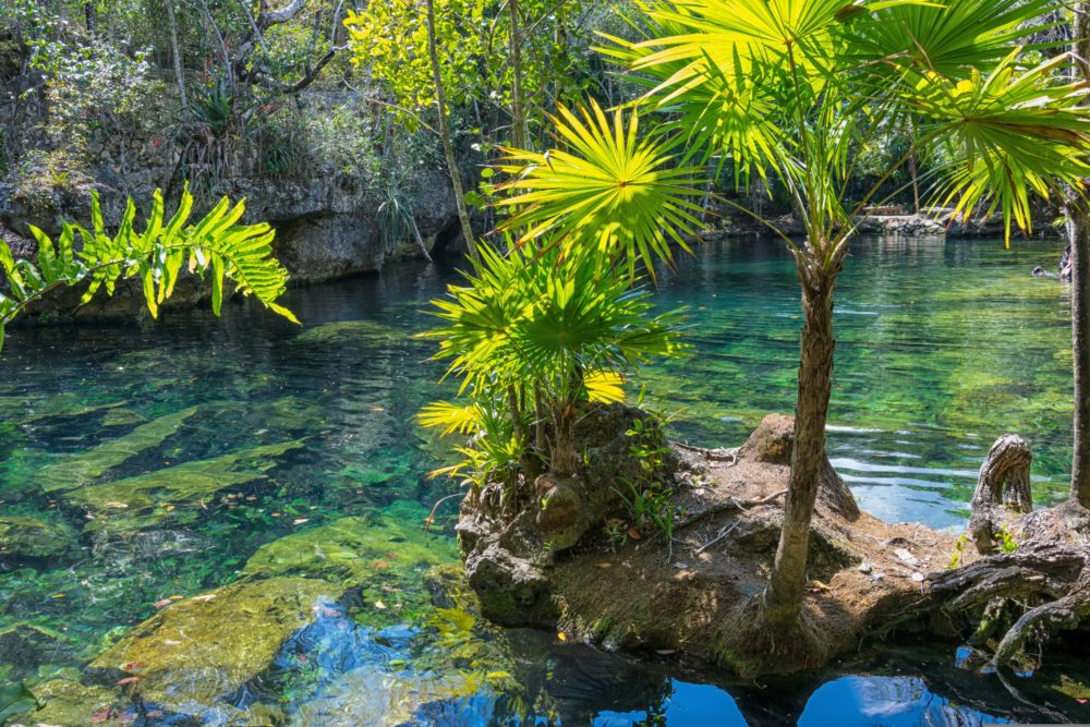 mexico-2145712-1000x667 - Qué son los cenotes y por qué hay tantos en México