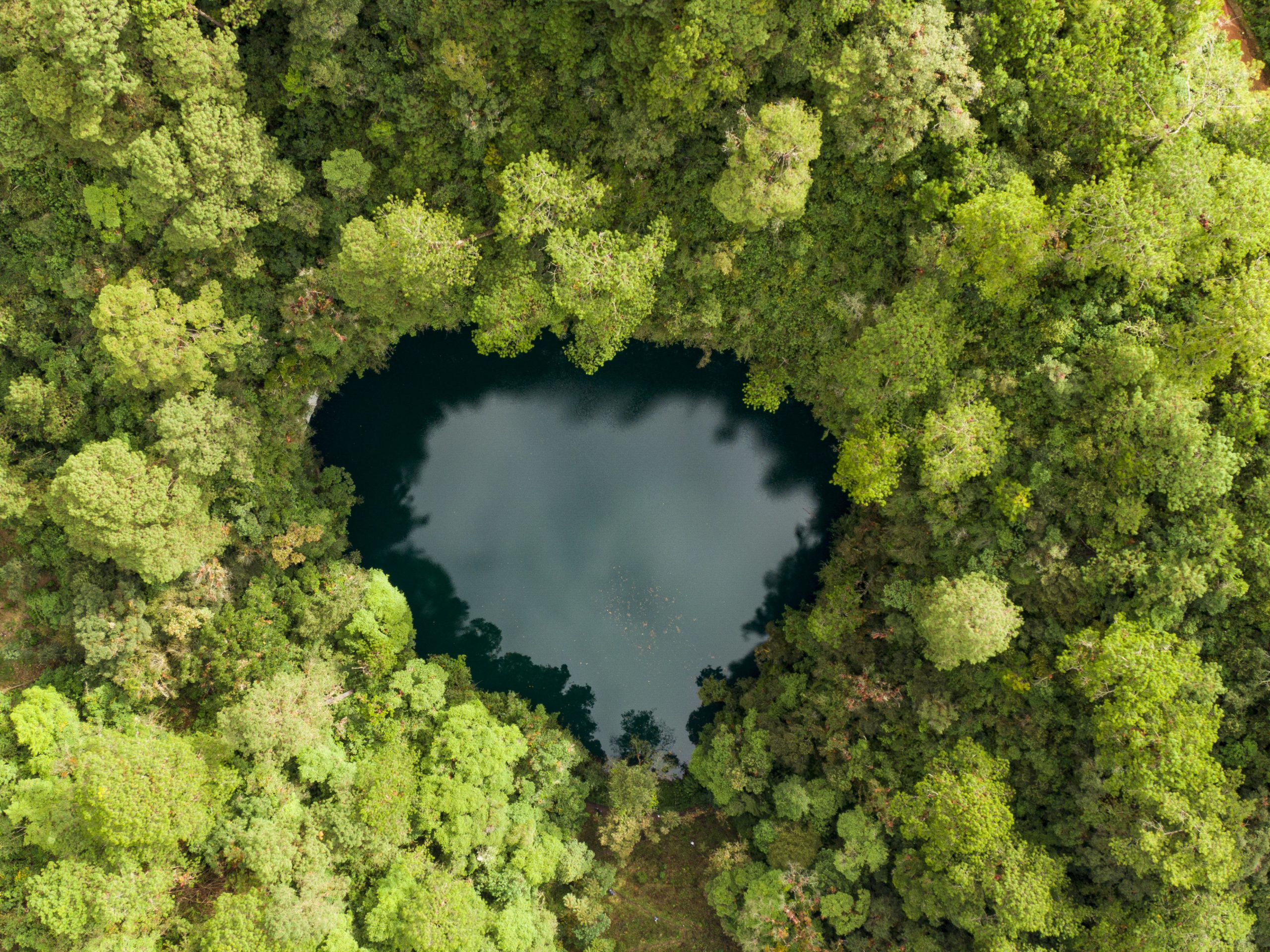Qué son los cenotes y por qué hay tantos en México