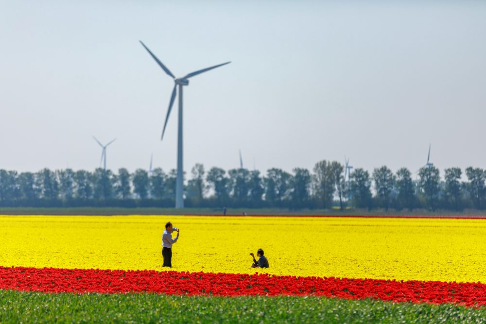 personas_tomando_fotos_en_Paises_Bajos-1000x667 - Los Países Bajos se visten de gala con la temporada de tulipanes