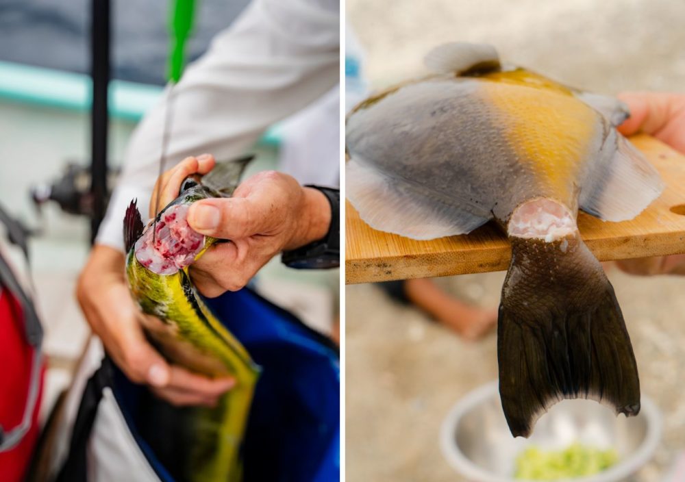 pesca-del-minuto-la-paz-1000x704 - La pesca del minuto en La Paz, México