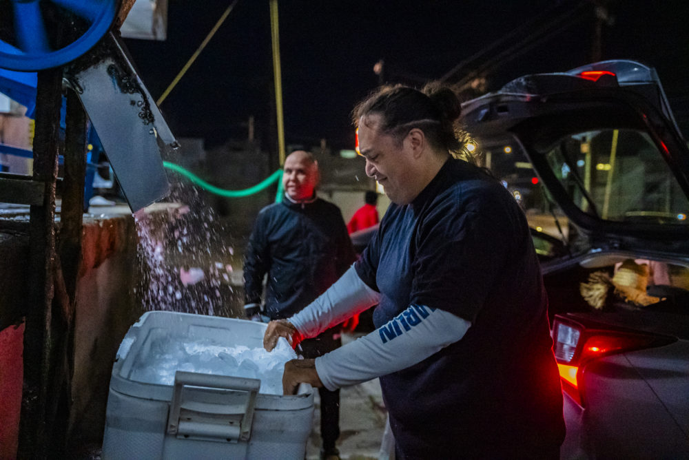 pesca-del.minuto-1000x668 - La pesca del minuto en La Paz, México