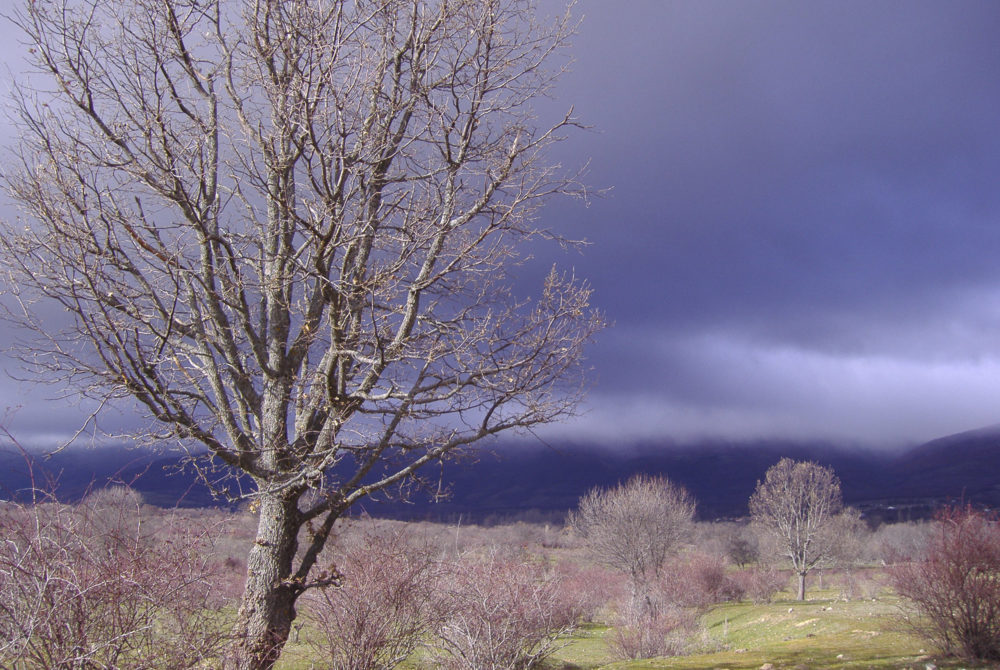 Alameda-Valle3-1000x670 - El precioso pueblito a 1 hora de Madrid al que pocos turistas visitan con hermosas rutas de senderismo y bellas callecitas