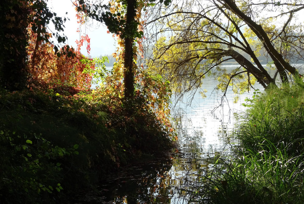 Banolas3-1000x670 - El maravilloso lago con bellos paisajes que es perfecto para nadar y hacer deportes acuáticos a 30 minutos de Girona