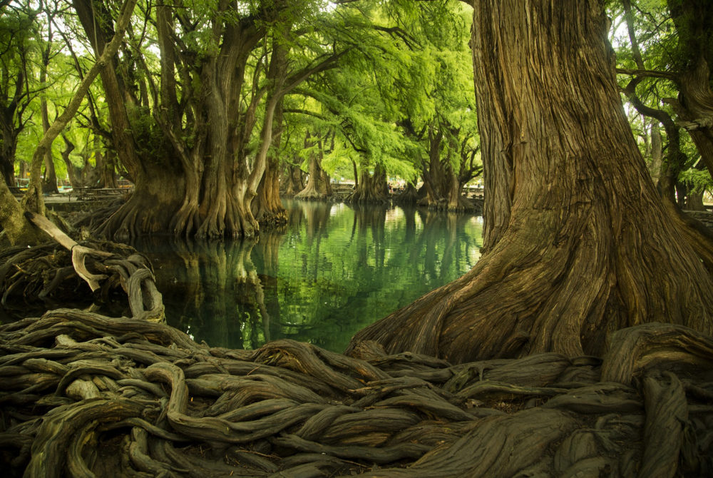 El alucinante lago de aguas turquesas a 2 horas de Uruapan con preciosos paisajes, ideal para una escapada en familia