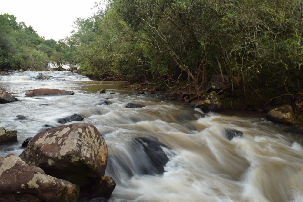 Campo_Ramon_wikimedia_commons_Leandro-Kibisz_3-1000x667 - El bonito pueblito con cascadas, balnearios y agroturismo del norte argentino que fue nominado por la ONU Turismo como uno de los más lindos del mundo