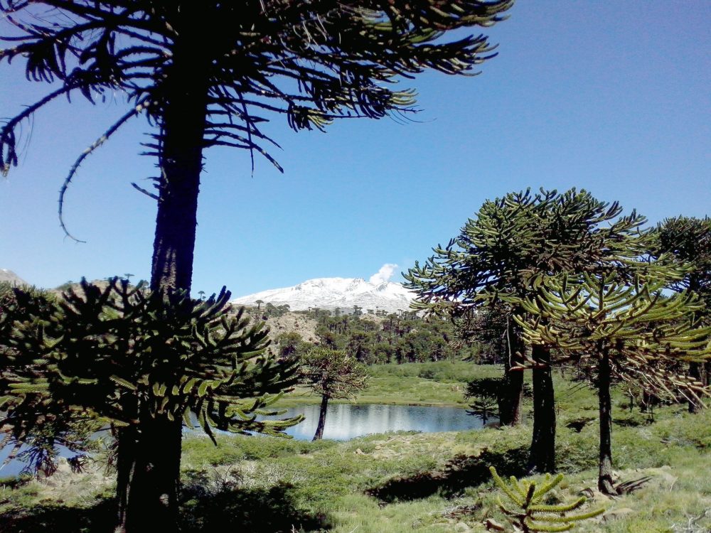 Caviahue_Neuquen_wikimedia_commons_rdjulieta-1000x750 - Descubre el pueblo de la Patagonia argentina reconocido como uno de los destinos hidrotermales más importantes del mundo y nominado por ONU Turismo por su belleza