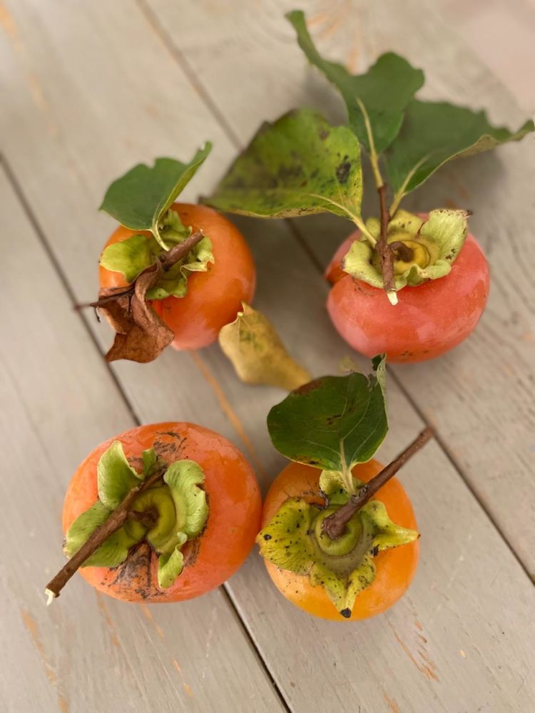 Cisternino-y-Lorocotondo5-750x1000 - Roma y Puglia: la guía personal de Narda Lepes para comer, comprar y amar