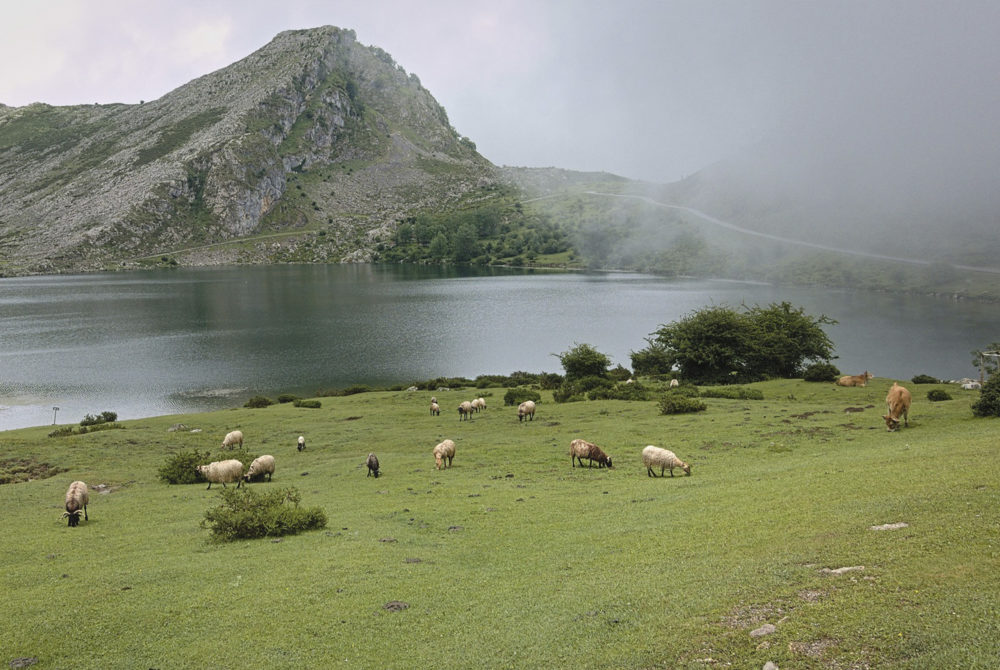 Covadonga2-1000x670 - Los hermosos lagos escondidos entre las montañas a 90 minutos de Oviedo que parecen de cuento de hadas