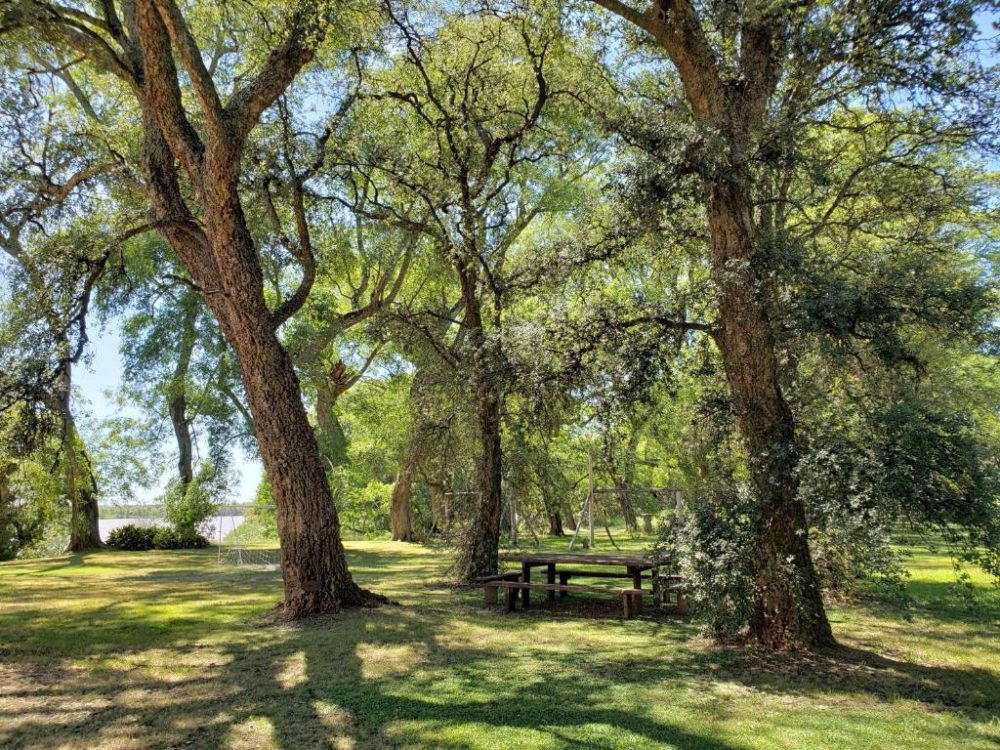 Estancia-Estrella-Federal-5-1000x750 - El pintoresco pueblo a 2 horas de la Ciudad de Buenos Aires donde Jorge Luis Borges y San Martín pasaron sus días y resguarda senderos parquizados por Carlos Thays