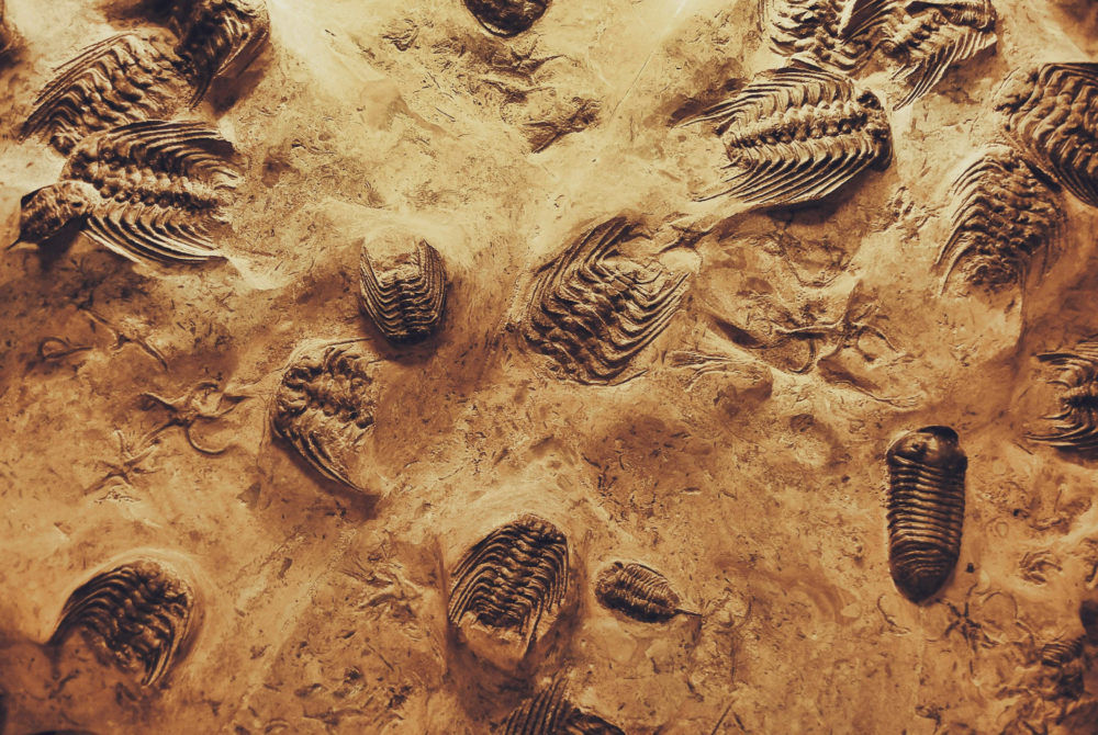 El maravilloso Pueblo Mágico ideal para los fanáticos de los dinosaurios y con hermosos paisajes naturales a 50 minutos de Saltillo