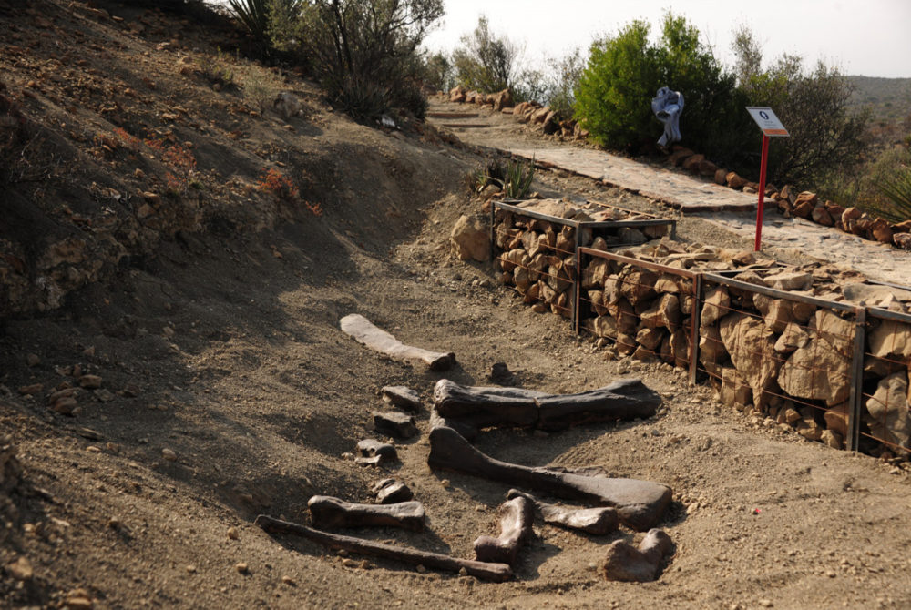General-Cepeda2-1000x670 - El maravilloso Pueblo Mágico ideal para los fanáticos de los dinosaurios y con hermosos paisajes naturales a 50 minutos de Saltillo