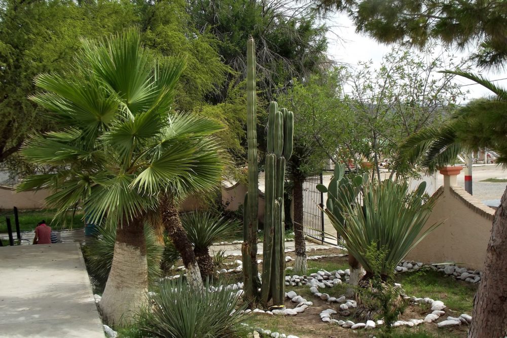 General_Cepeda_Coahuila_wikimedia_commons_urbanomafia-1000x667 - Cuáles son los Pueblos Mágicos de Coahuila