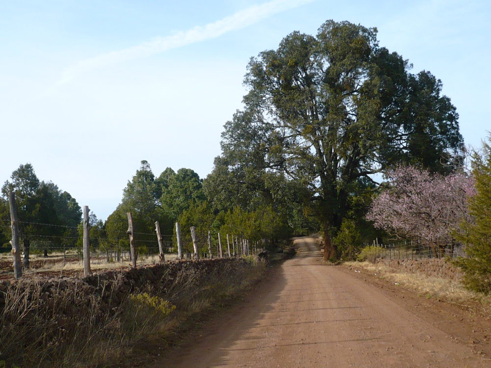 Guachochi_wikimedia_commons_Alejandro-Vega-Rdz-1000x750 - Cuáles son todos los Pueblos Mágicos de Chihuahua