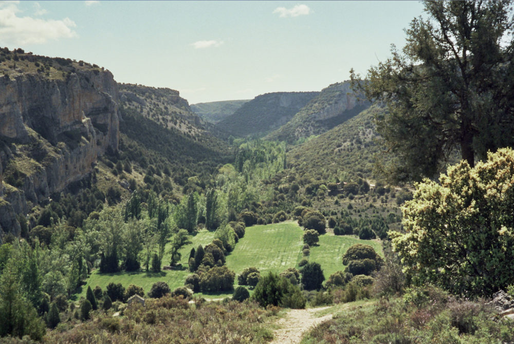Hoces-rio-Riaza-1000x670 - El bonito pueblo medieval a menos de hora y media de Madrid con callecitas alucinantes y un bello parque natural para practicar senderismo