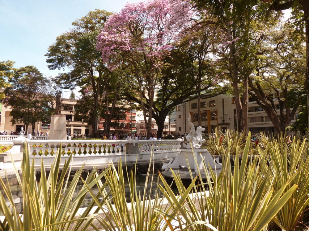 Ibague_wikimedia_Edgar-Jimenez-1000x750 - Es la "Capital Musical de Colombia", tiene bonitos parques para visitar y es una ciudad con diferentes climas a 2 horas de Armenia