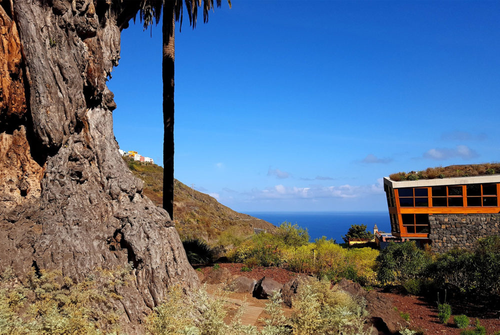 Icod-de-los-vinos3-1000x670 - El precioso Pueblo Mágico de España en Tenerife con una bella playa, ricos vinos, una misteriosa cueva y mucha tranquilidad