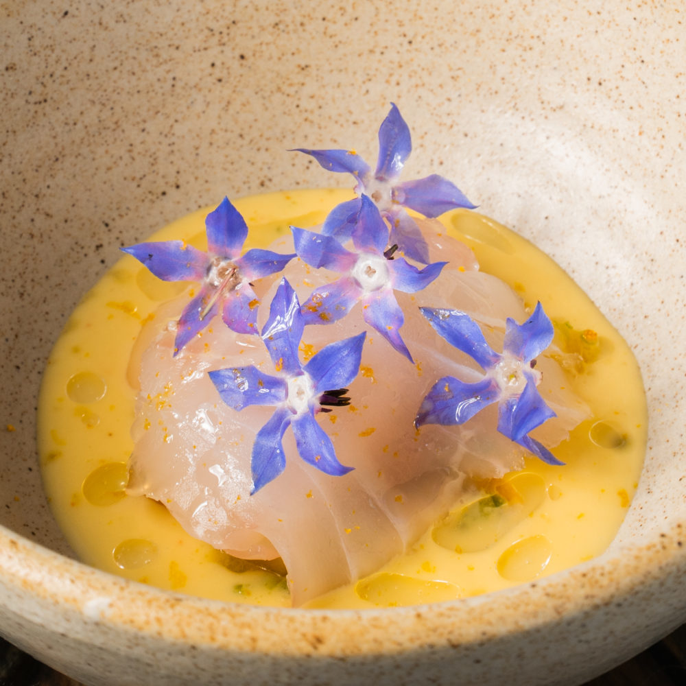 KumquatFOTO-DE-PAUL-CHAVEZ-1000x1000 - Tijuana: como un local (adoptivo) por Liliana Ospina