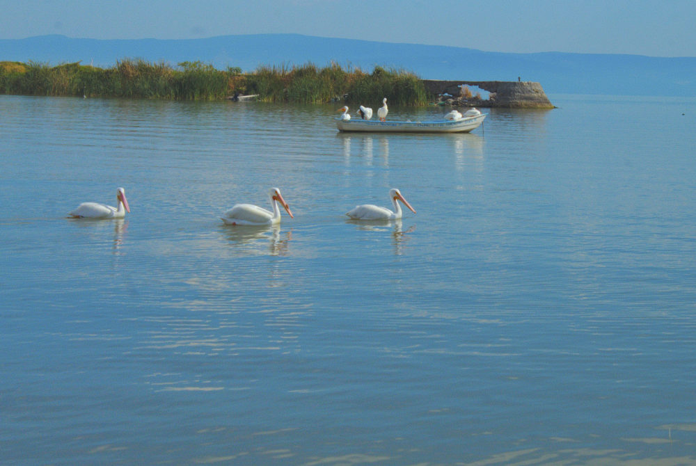 Lago-Chapala-1000x670 - Es el lago más grande de México, tiene 3 islas, bonitos paisajes y puede ser visto desde varias ciudades