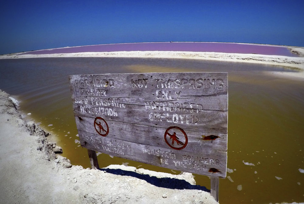 Laguna-Rosa2-1000x670 - La increíble laguna de color rosa a 3 horas de Cancún que sorprende a todos los turistas y es perfecta para una escapada