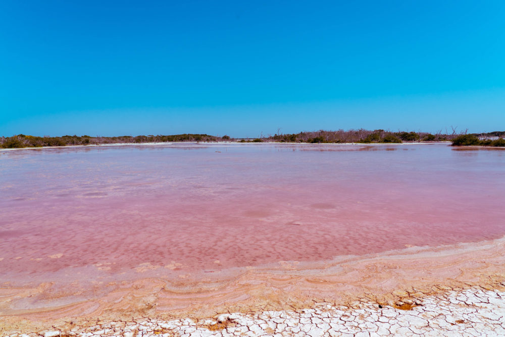 Laguna_Rosada_1_Of_4_Yucatan_Mexico_248352741-1000x668 - La increíble laguna de color rosa a 3 horas de Cancún que sorprende a todos los turistas y es perfecta para una escapada