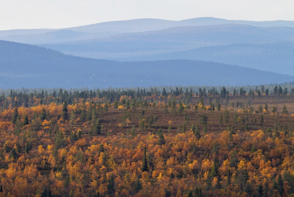 Laponia-1000x670 - El alucinante pueblito de Finlandia donde se ven auroras boreales hasta 200 noches al año