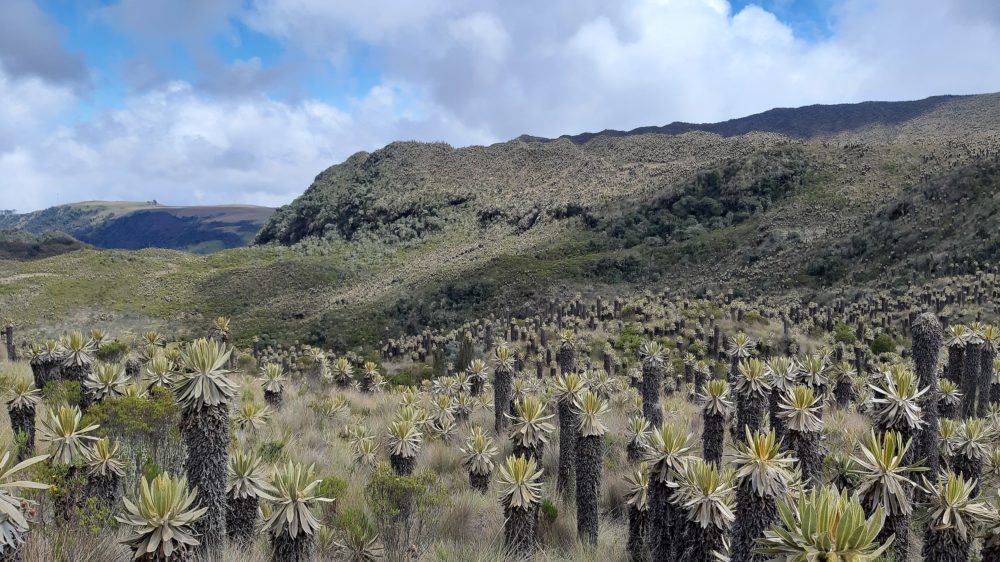 Murillo_wikimedia_commons_SajoR-1000x562 - El precioso pueblo de Colombia nominado por la ONU Turismo como uno de los más lindos del mundo
