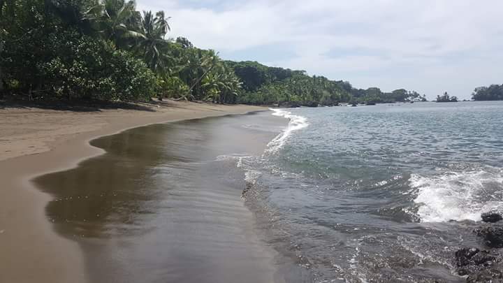 Nuqui - El paradisíaco pueblito de Colombia con playas espectaculares, avistaje de ballenas y perfecto para el ecoturismo