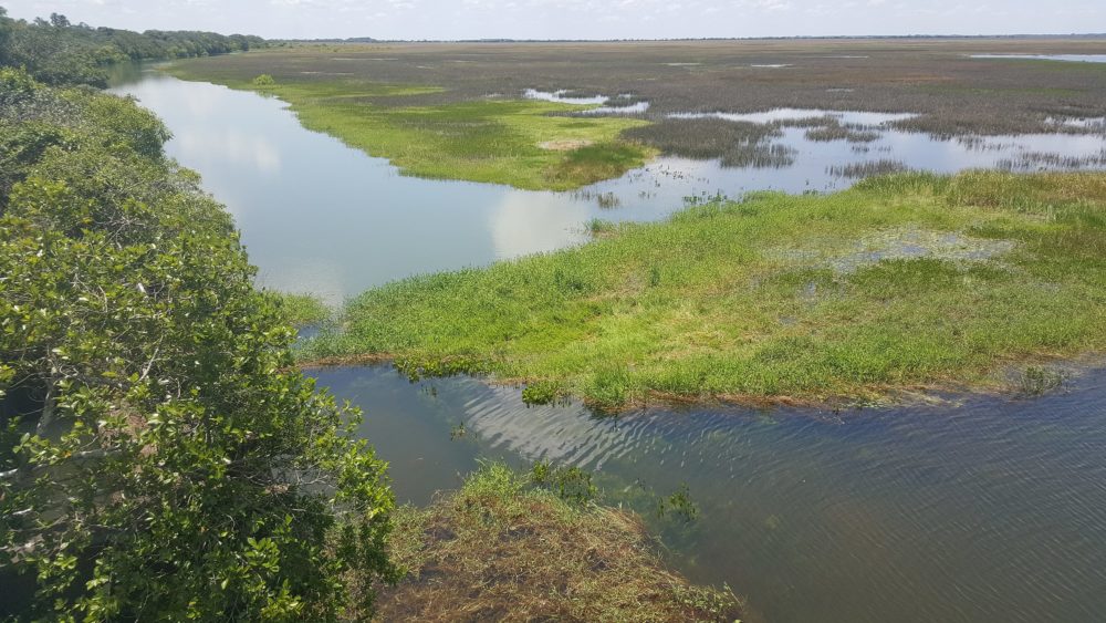 Orocue_wikimedia_commons_CarlosE-Duarte_2-1000x563 - El precioso pueblo de Colombia nominado como uno de los más lindos del mundo por la ONU Turismo que es perfecto para la pesca y navegación