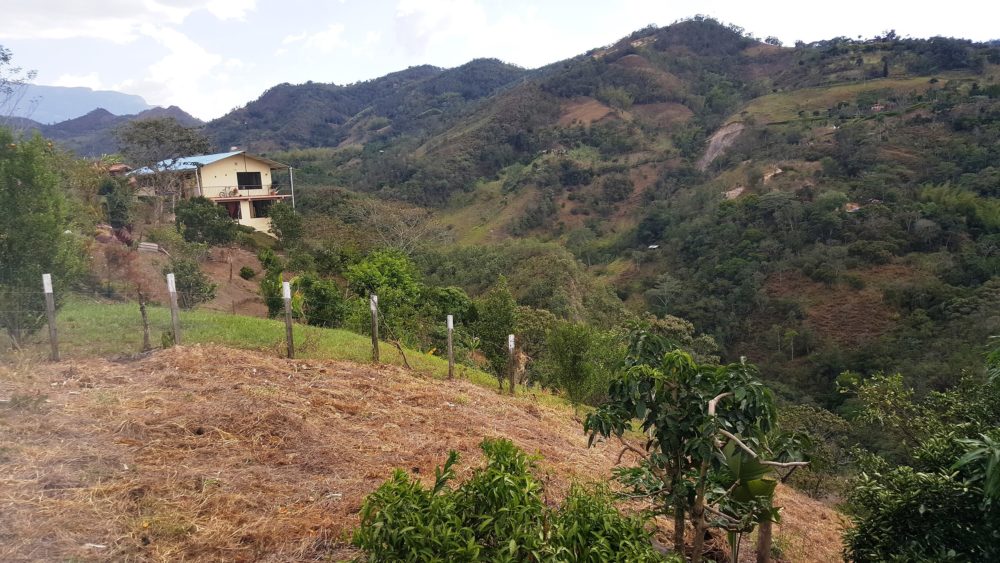 Orocue_wikimedia_commons_CarlosE-Duarte_3-1000x563 - El precioso pueblo de Colombia nominado como uno de los más lindos del mundo por la ONU Turismo que es perfecto para la pesca y navegación