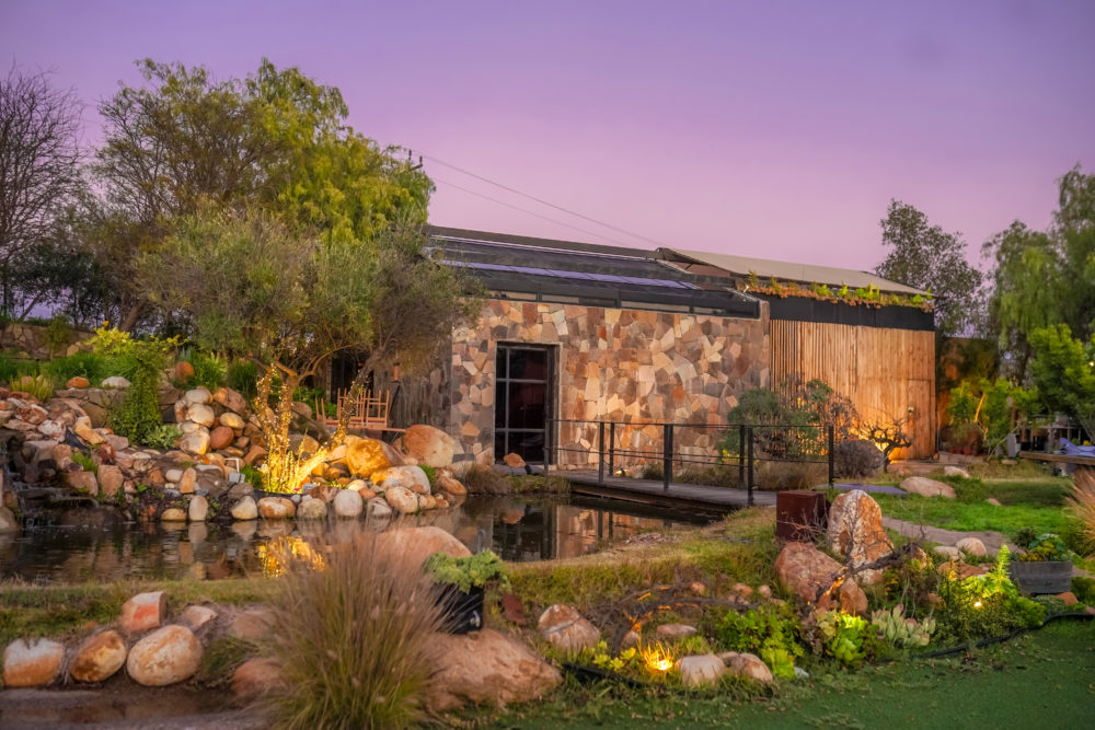 PCH02443FOTO-DE-PAUL-CHAVEZ-1000x667 - Tijuana: como un local (adoptivo) por Liliana Ospina