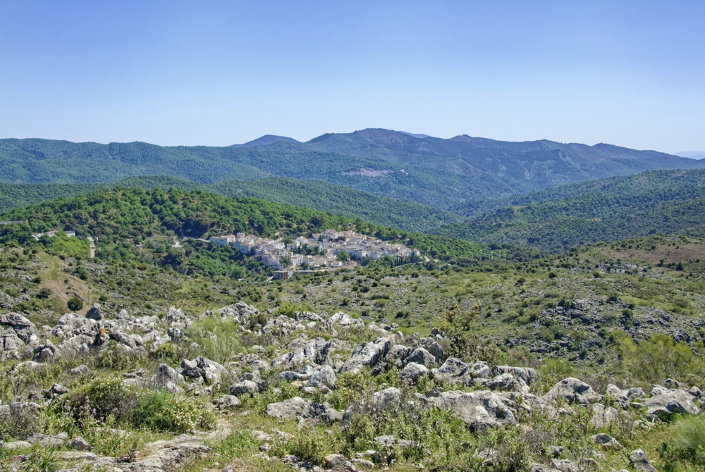 Parauta-1000x670 - El bonito Pueblo blanco con menos de 300 habitantes que tiene un bello bosque encantado y está a 1 hora de Marbella