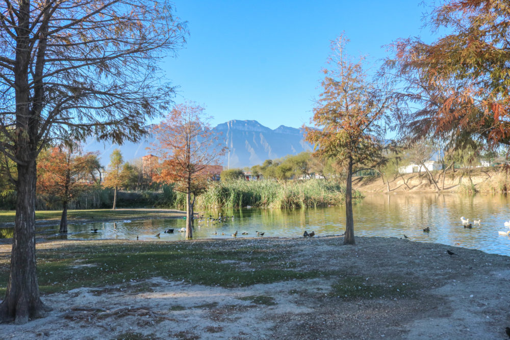 Parque_Lago_Solidaridad_Monterrey-1000x667 - Qué hacer en 1 día en Monterrey: actividades imperdibles en la "Sultana del Norte"