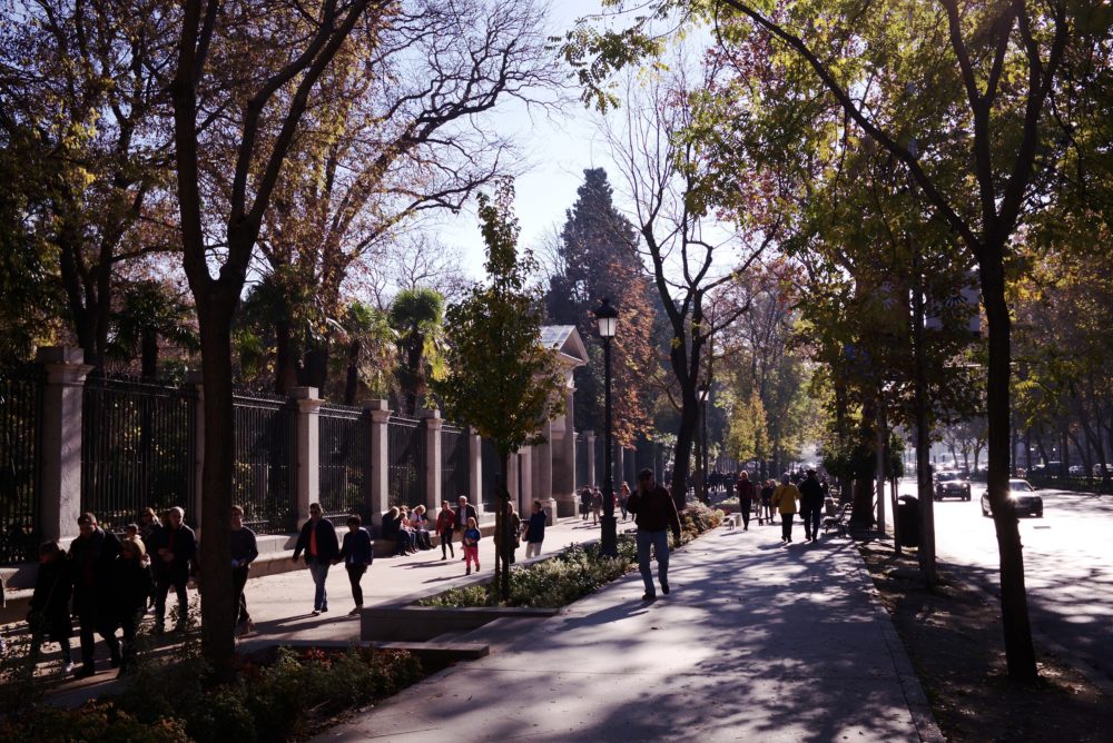 Paseo_del_Prado_Madrid_wikimedia_commons_Nicolas-Vigier-1000x668 - Cuáles son todos los Patrimonios de la Humanidad de la Comunidad de Madrid declarados por la UNESCO