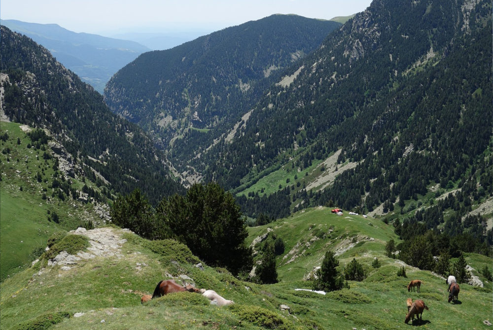 El hermoso Pueblo Mágico de España con bellos paisajes naturales y callecitas para recorrer a 2 horas de Huesca