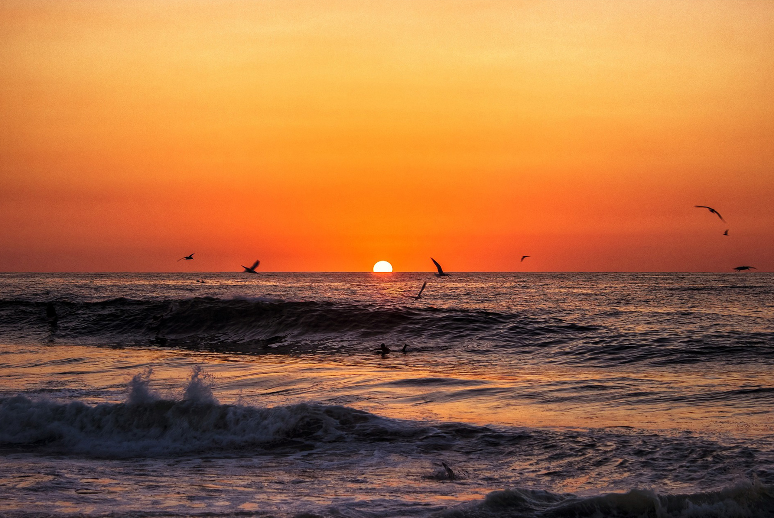 3 playas sin sargazo para disfrutar las vacaciones de verano sin problemas
