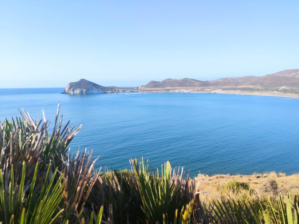 Playa_de_los_Genoveses_wikimedia_commons_VioletaC95-1000x750 - Es una de las playas vírgenes más hermosas de España, tiene preciosas aguas celestes y está a 50 minutos de Almería